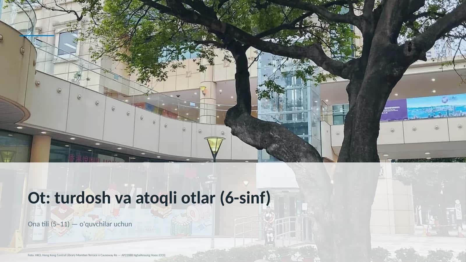 Ot: turdosh va atoqli otlar (6-sinf)
