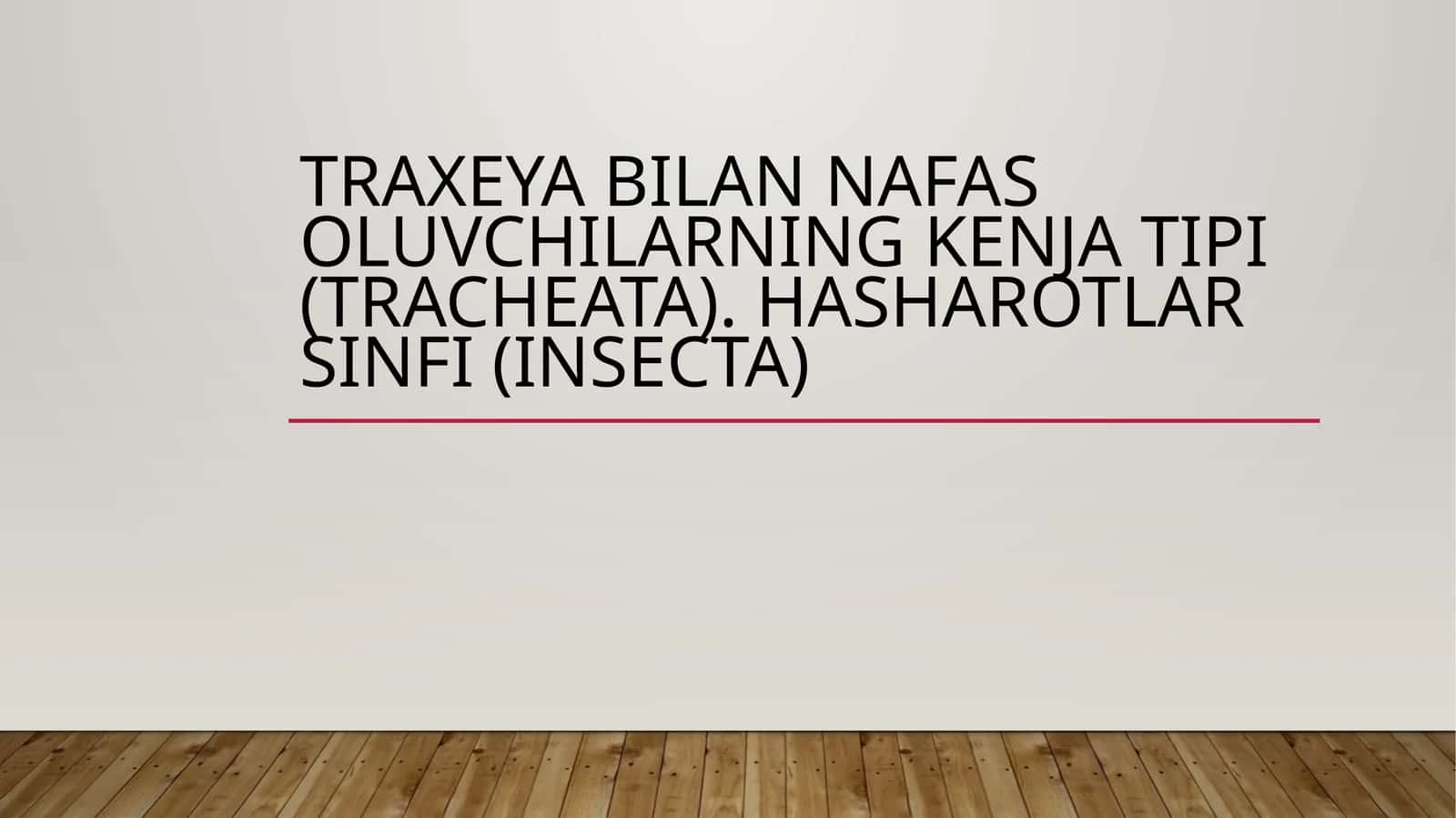 Traxeya bilan nafas oluvchilarning kenja tipi (tracheata). Hasharotlar sinfi (insecta)