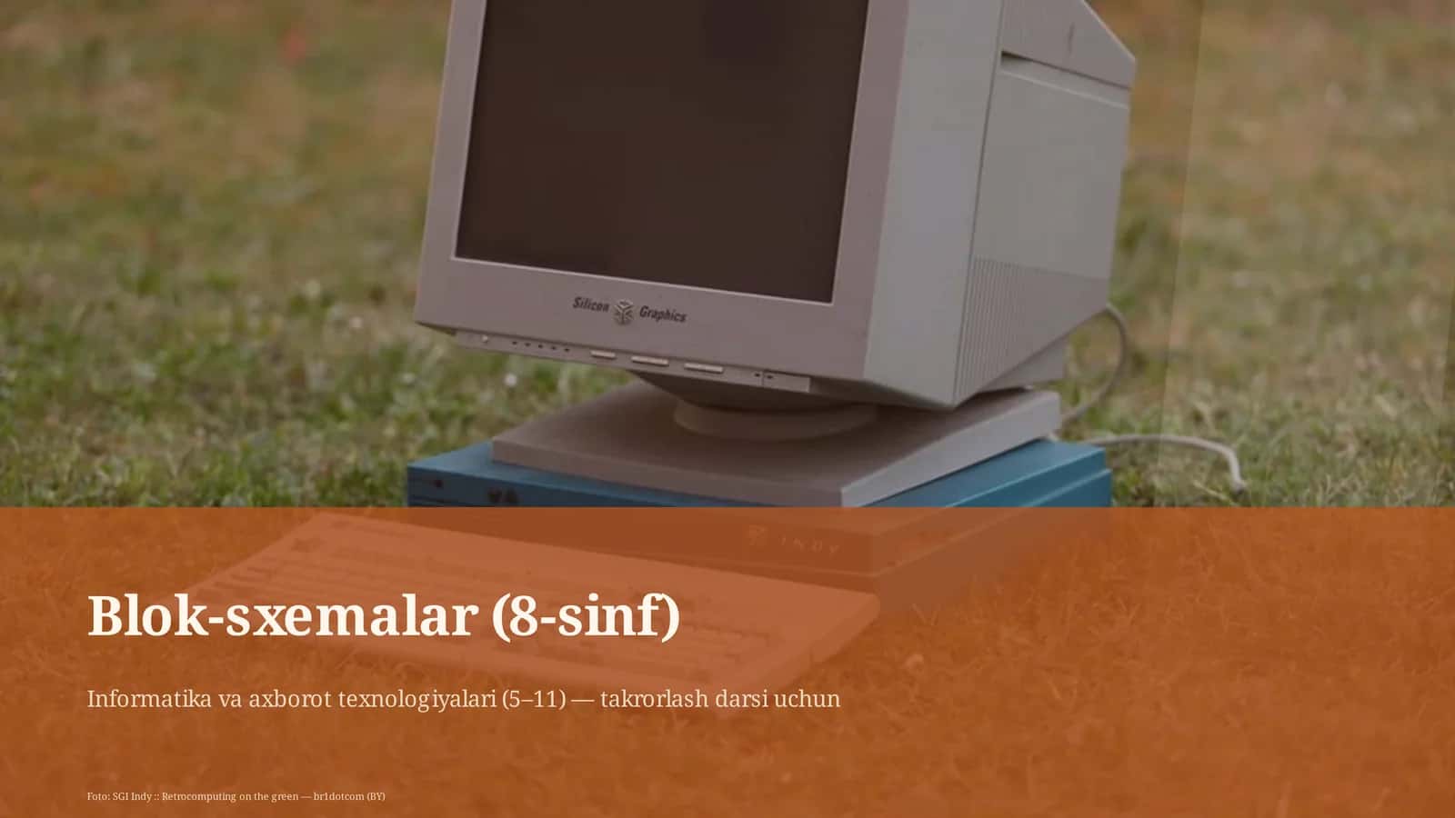 Blok-sxemalar (8-sinf)