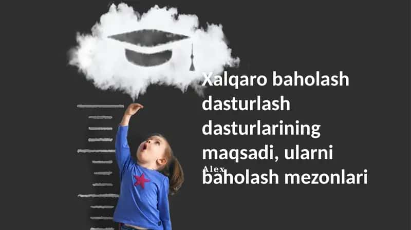 Xalqaro baholash dasturlash dasturlarining maqsadi