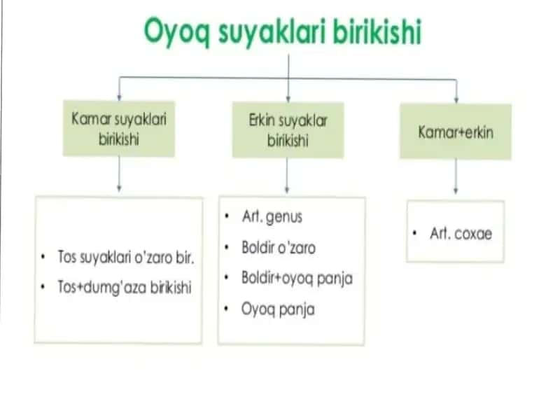 oyoq birlashuvi