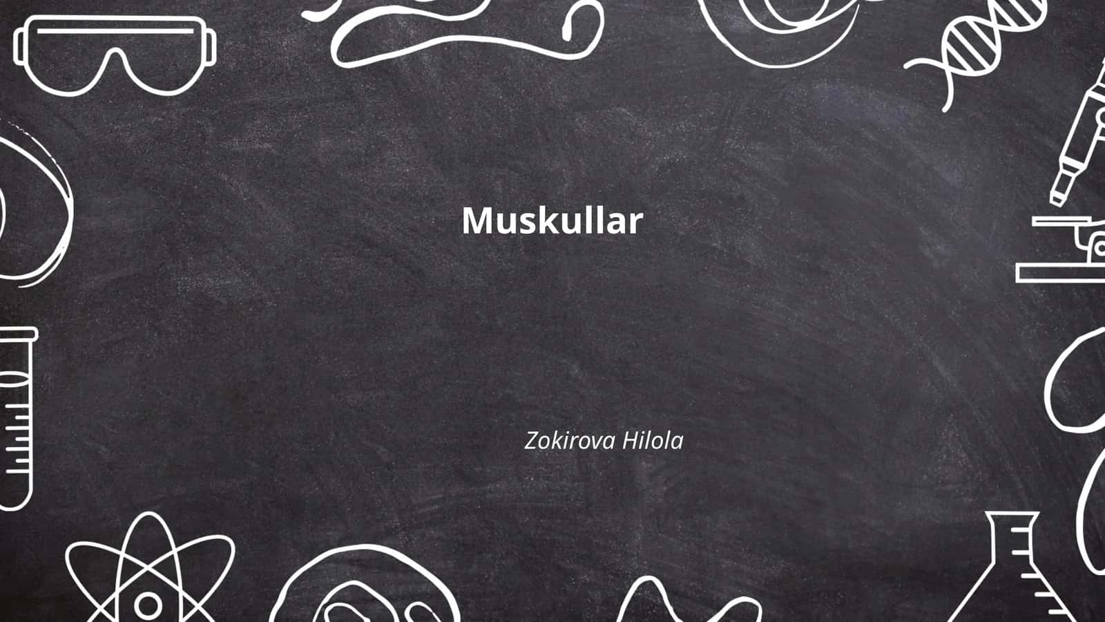 Muskullar anatomiyasi