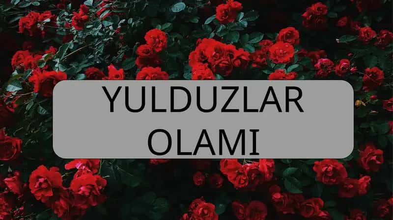 Yulduzlar Olami