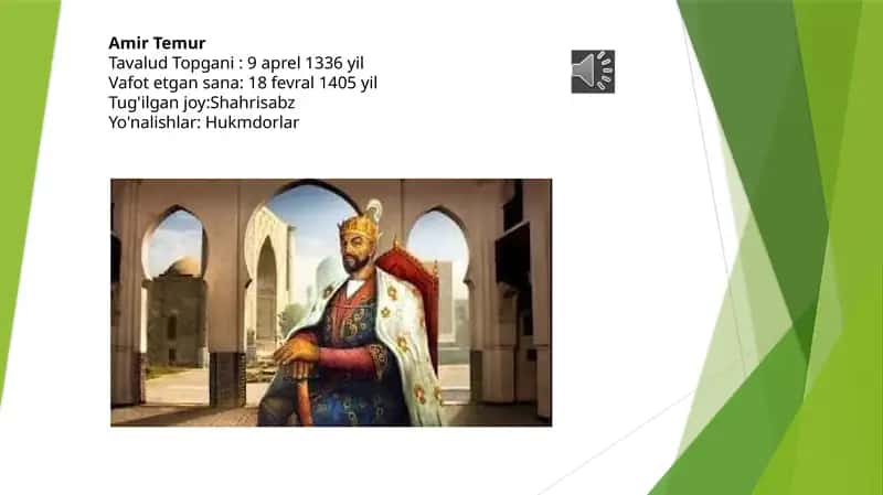 Amir Temur