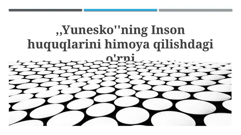 ЮНЕСКОнинг инсон ҳуқуқларини ҳимоя қилишдаги о'рни