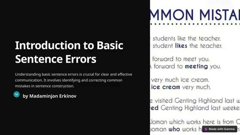 Introduction to Basic Sentence Errors