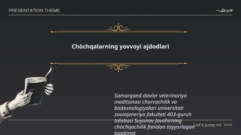 Chòchqalarning yovvoyi ajdodlari