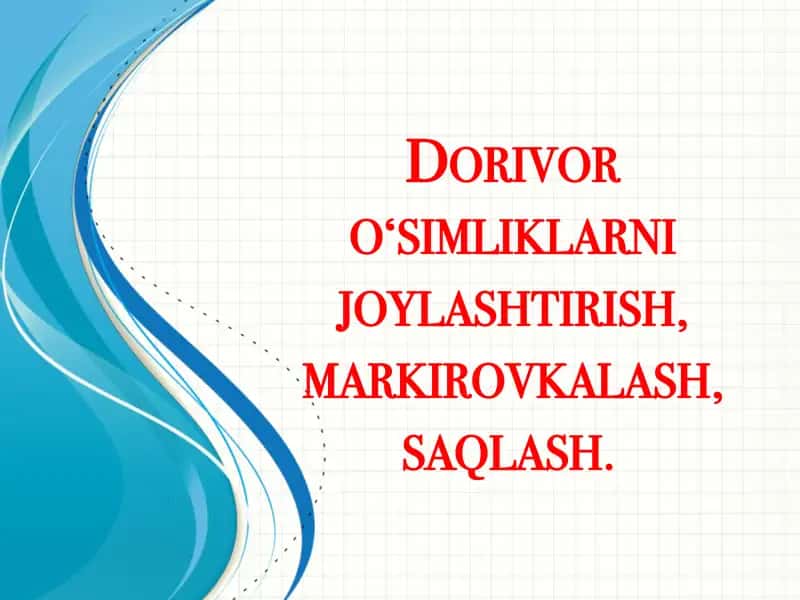 Dorivor o'simliklarni joylashtirish, tayyorlash, markirovkalash