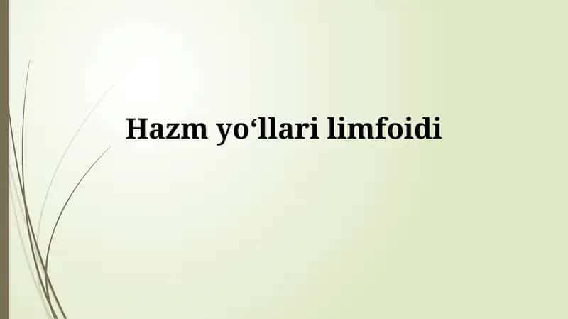 Hazmyoʻllarilimfoidi