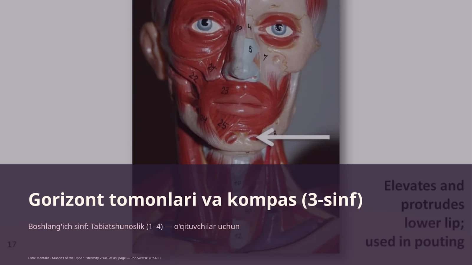 Gorizont tomonlari va kompas (3-sinf)