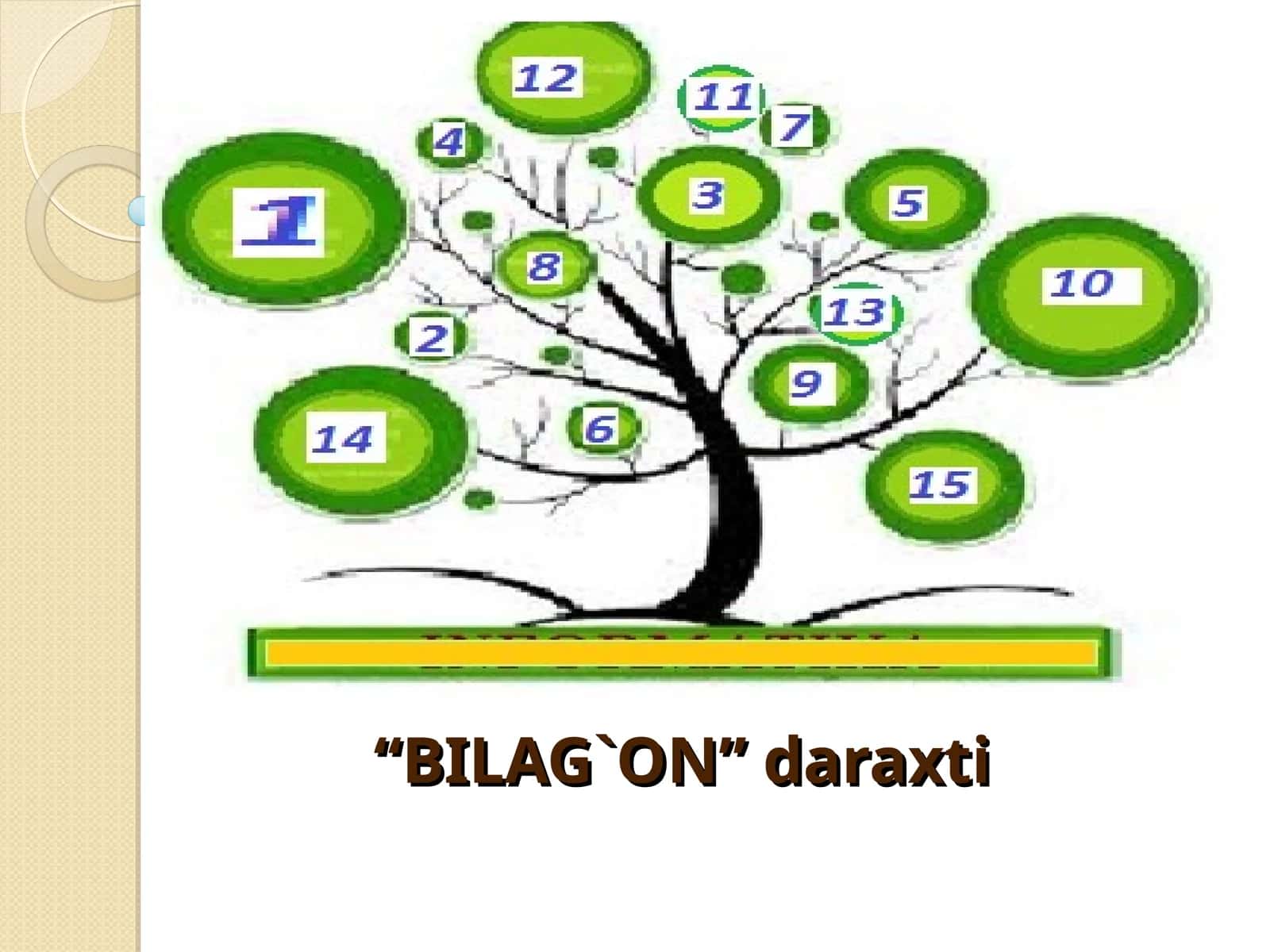 “BILAG`ON” daraxti