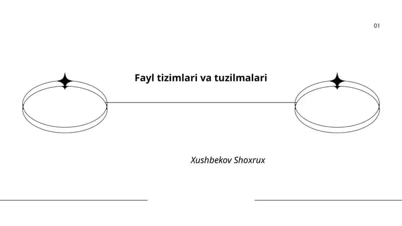 Fayl tizimlari va tuzilmalari