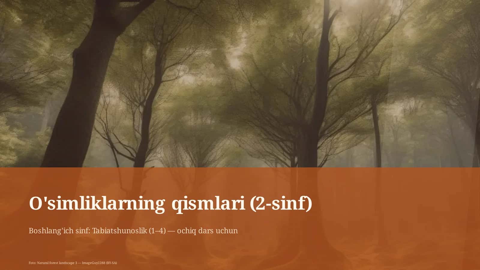 O'simliklarning qismlari (2-sinf)