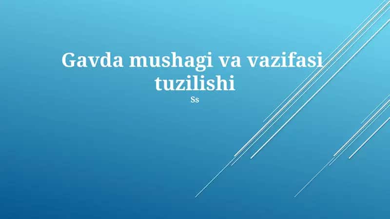 Gavda mushagi va vazifasi tuzilishi