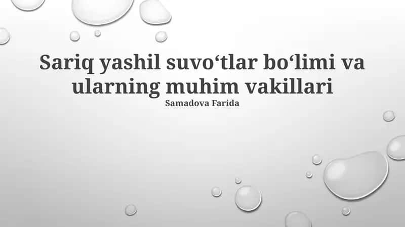 Yashil suv o'tlarining muhim vakillari
