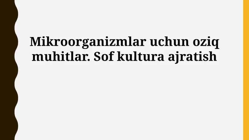 Mikroorganizmalar uchun oziq muhitlar. Sof kultura ajratish