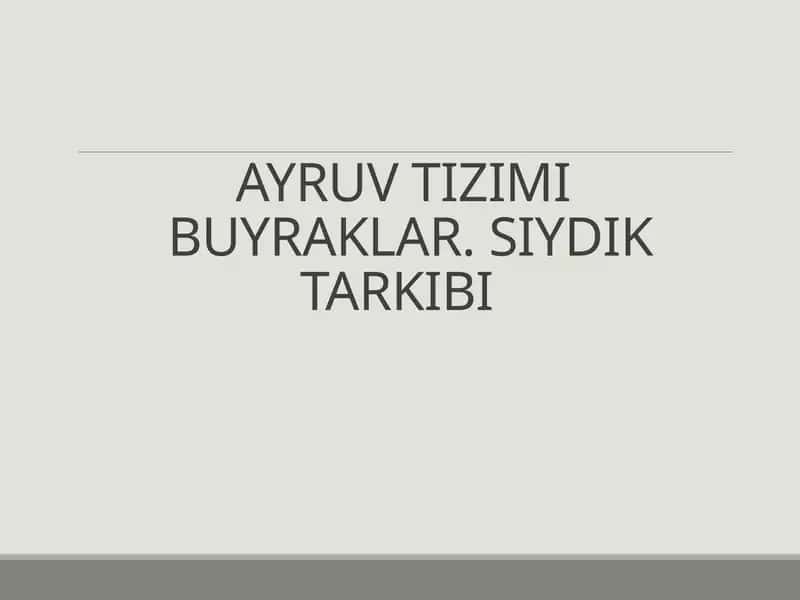 AYRUV TIZIMI BUYRAKLAR. SIYDIK TARKIBI