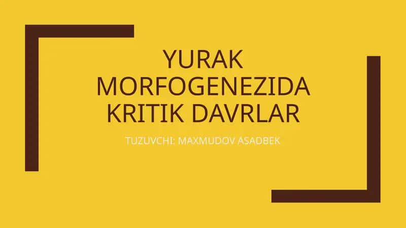 Tug‘ma yurak nuqsonlari (TYN)