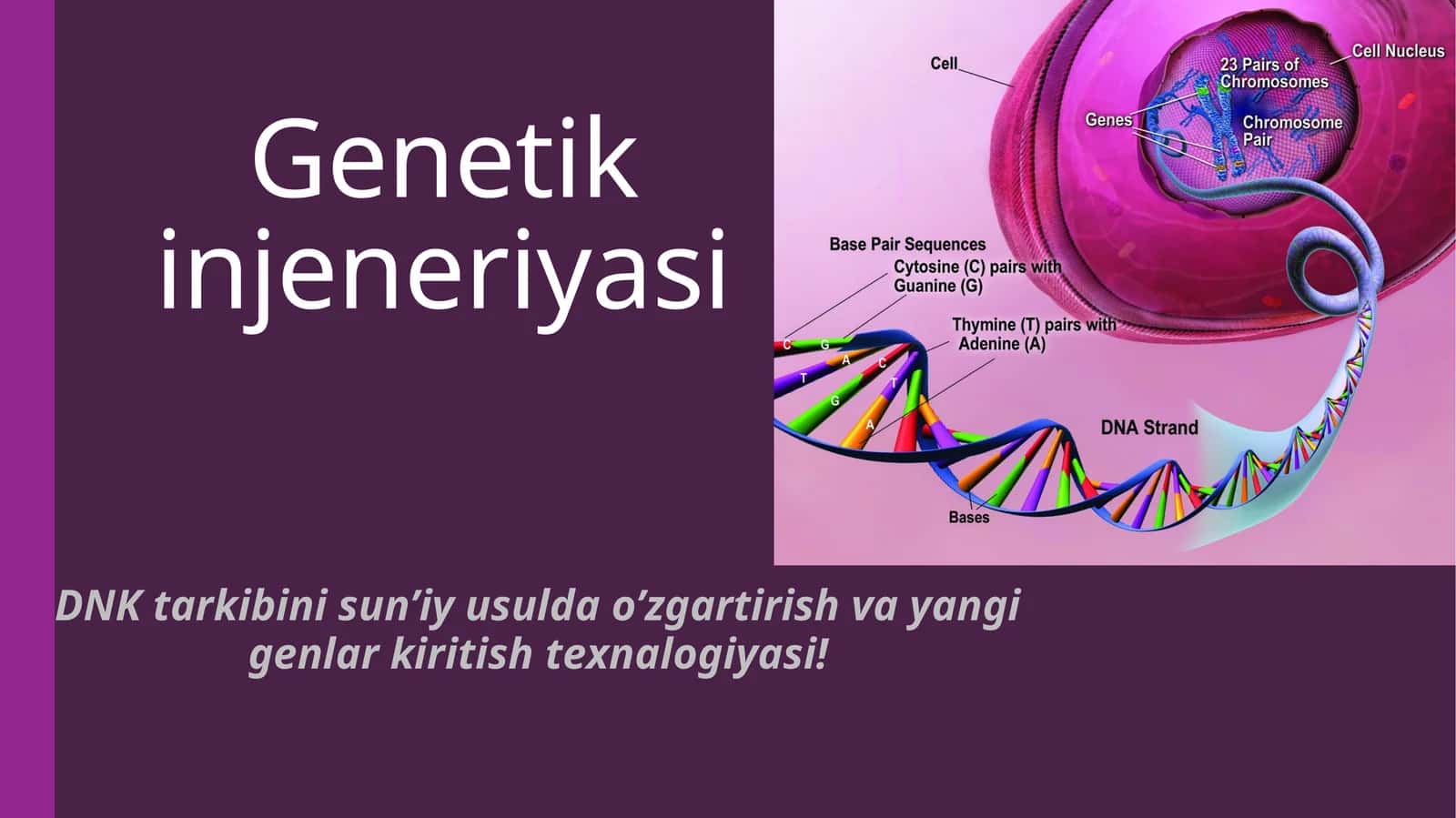 Genetik injeneriyasi
