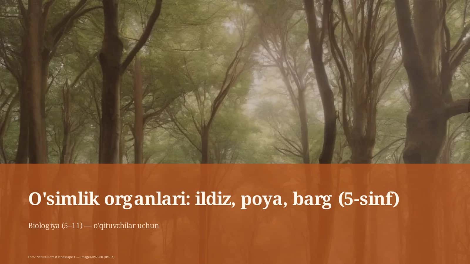 O'simlik organlari: ildiz, poya, barg (5-sinf)