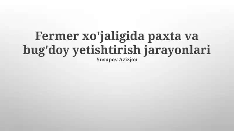 Fermer xo'jaligida paxta va bug'doy yetishtirish jarayonlari