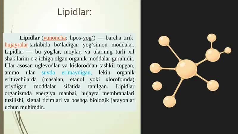 Lipidlar