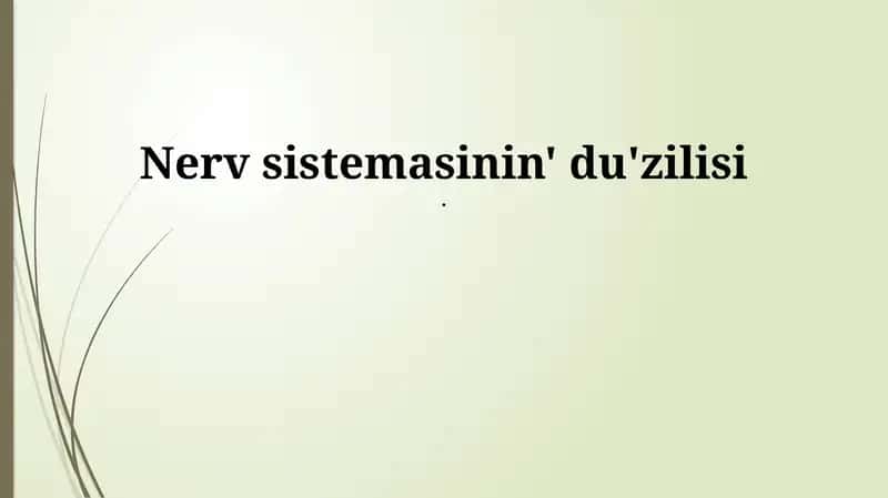 Nerv sistemasının' du'zilisi