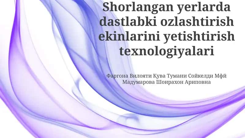 Dastlabki O'zlashtirish Strategiyalari va Texnologiyalari