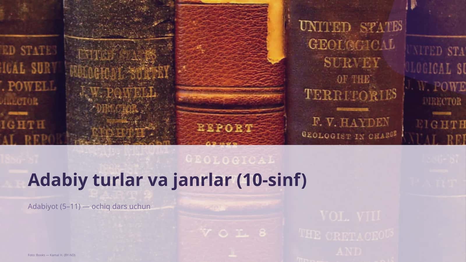 Adabiy turlar va janrlar (10-sinf)