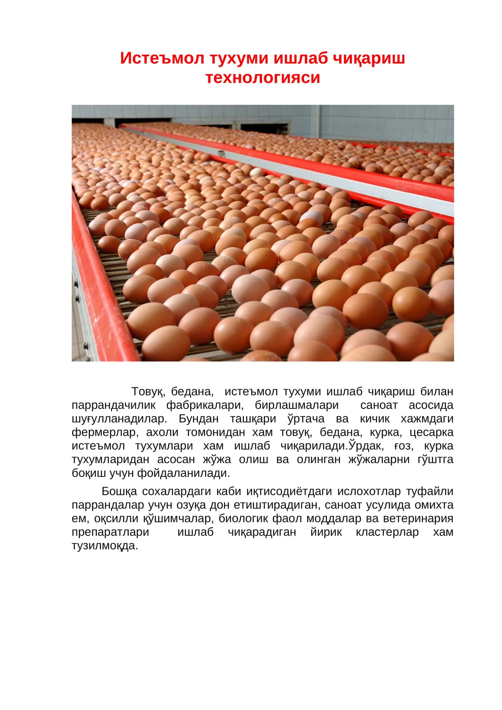Истеъмол тухуми ишлаб чиқариш технологияси