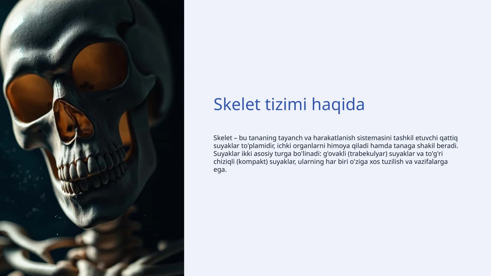Skelet tizimi haqida