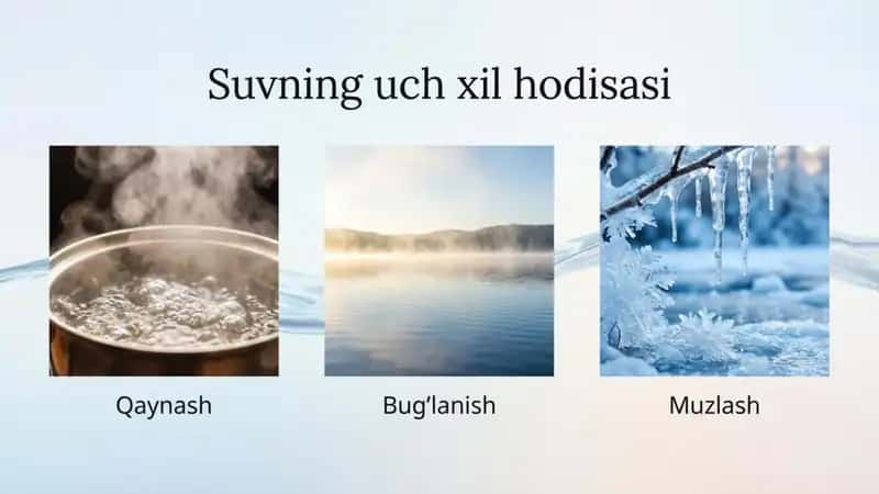 Suvning uch xil hodisasi (suvning 3 xil hodisasi)