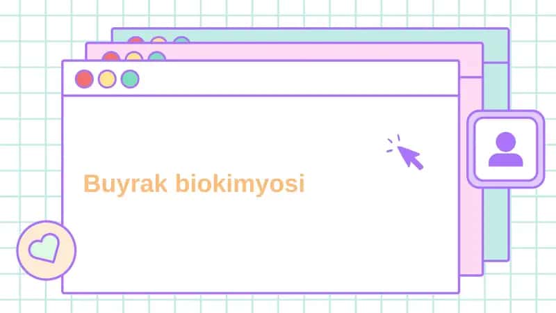 Buyrak biokimyosi