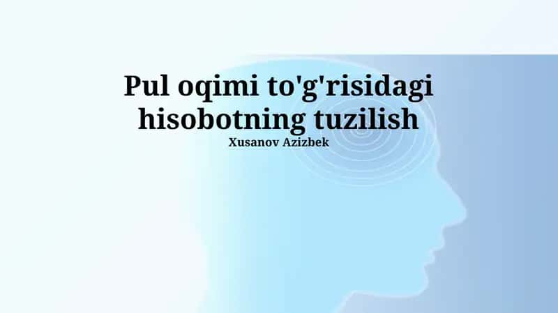 Pul oqimi to'g'risidagi hisob