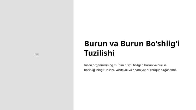 Burun va Burun Bo'shlig'i Tuzilishi