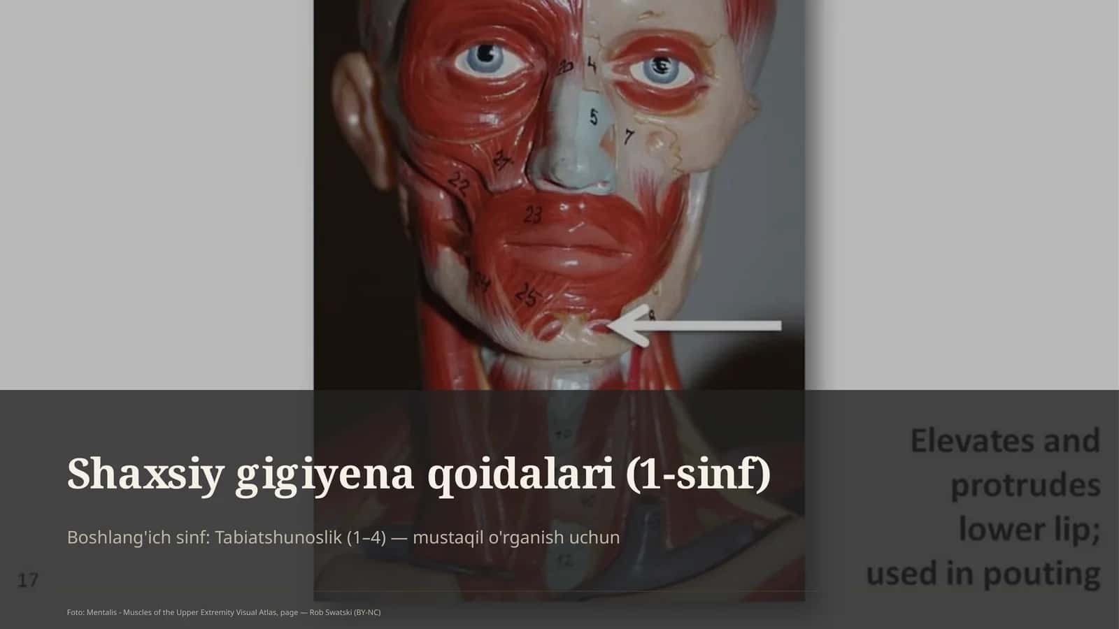 Shaxsiy gigiyena qoidalari (1-sinf)