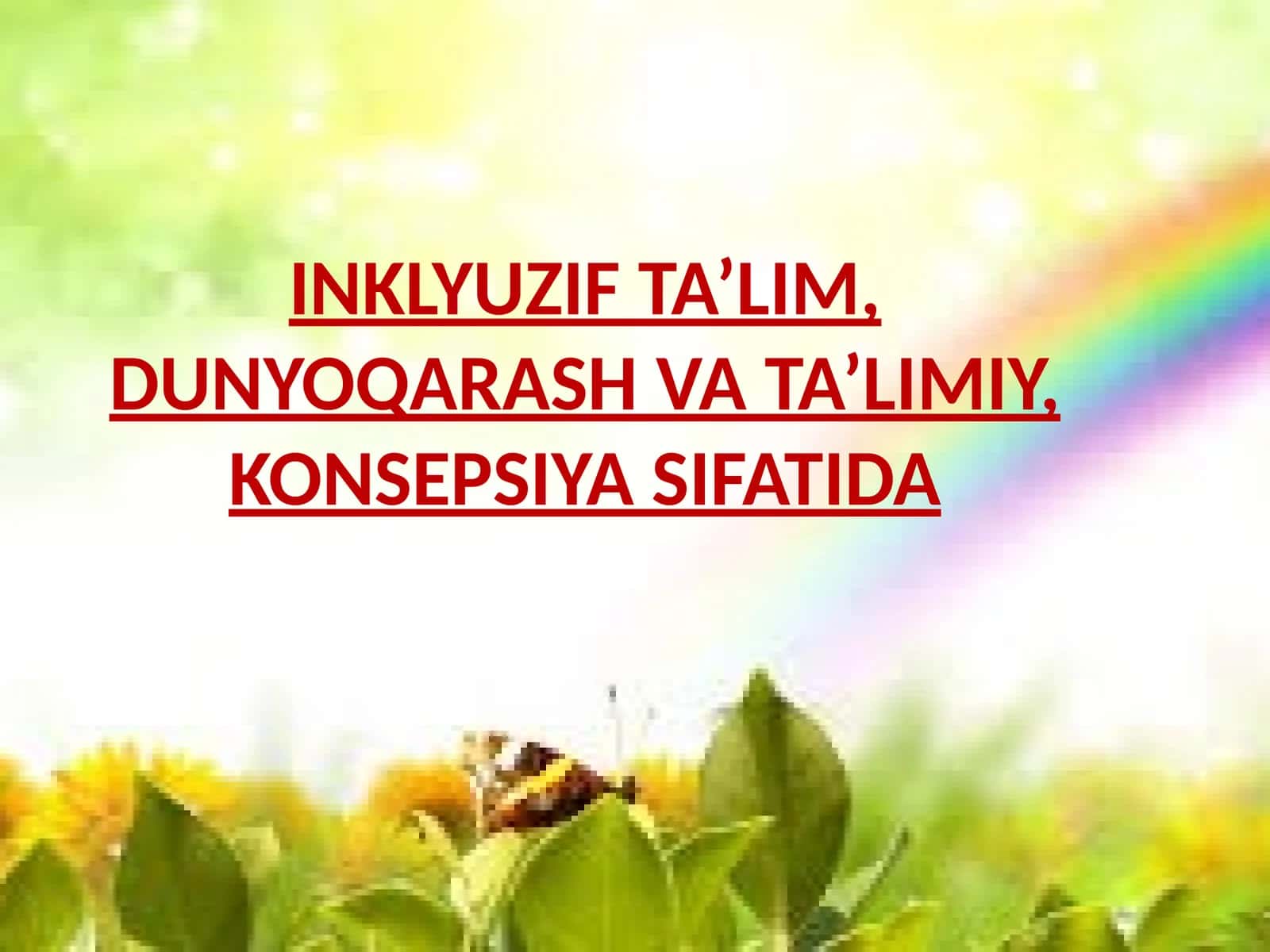 INKLYUZIF TA’LIM, DUNYOQARASH VA TA’LIMIY, KONSEPSIYA SIFATIDA