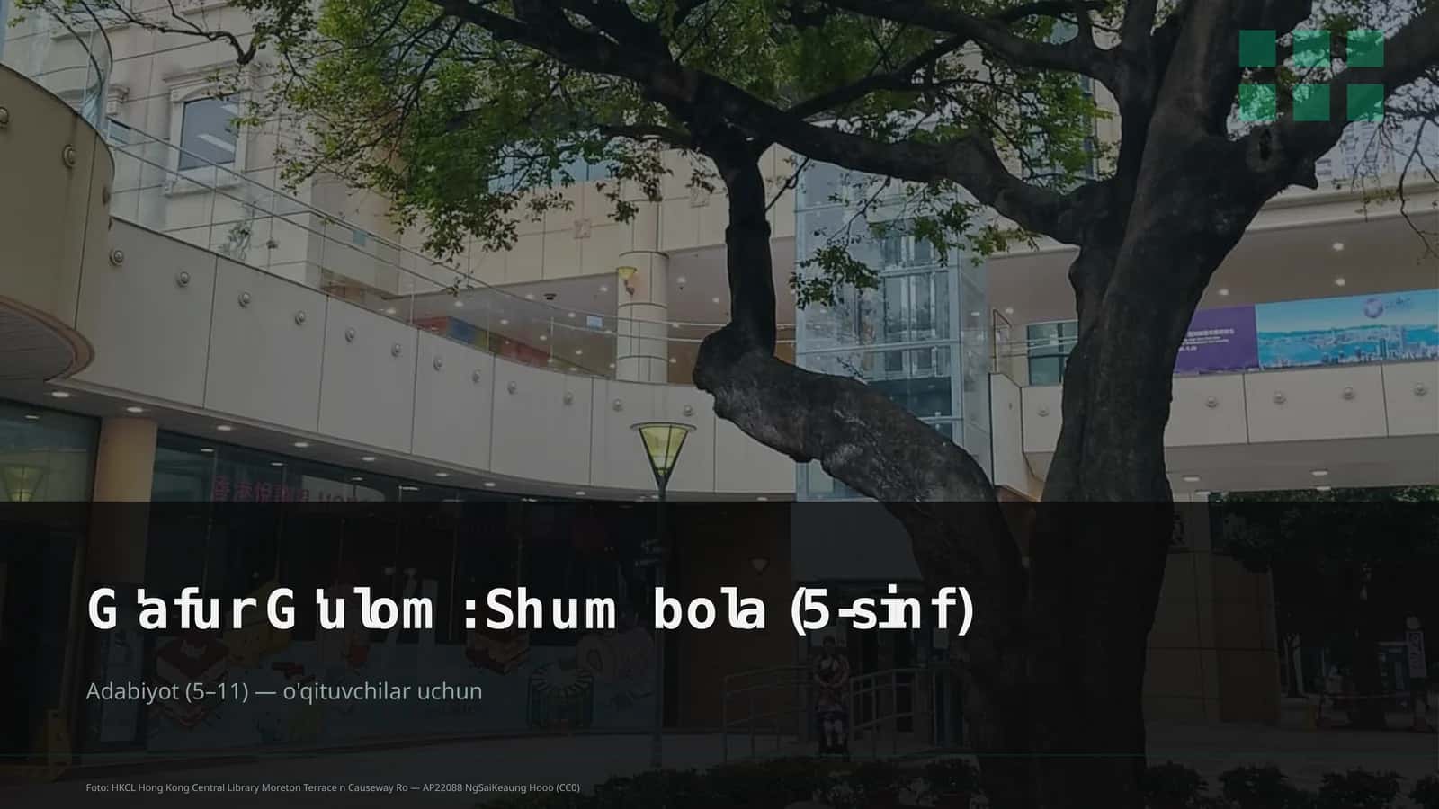 Shum bola (5-sinf)