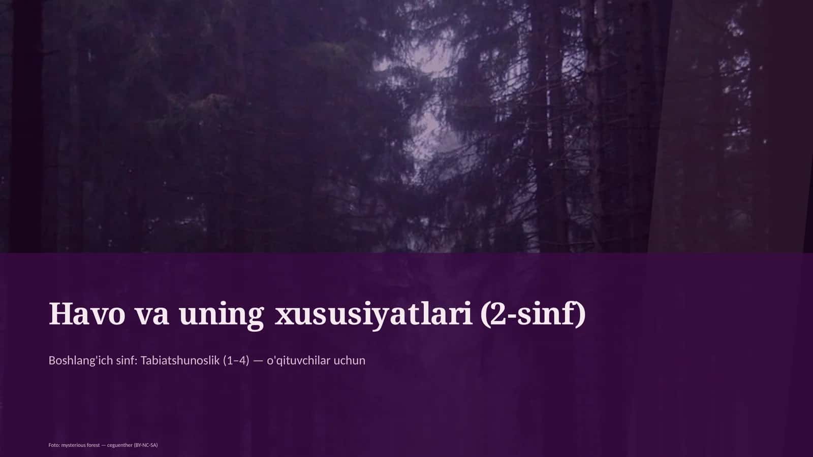 Havo va uning xususiyatlari (2-sinf)