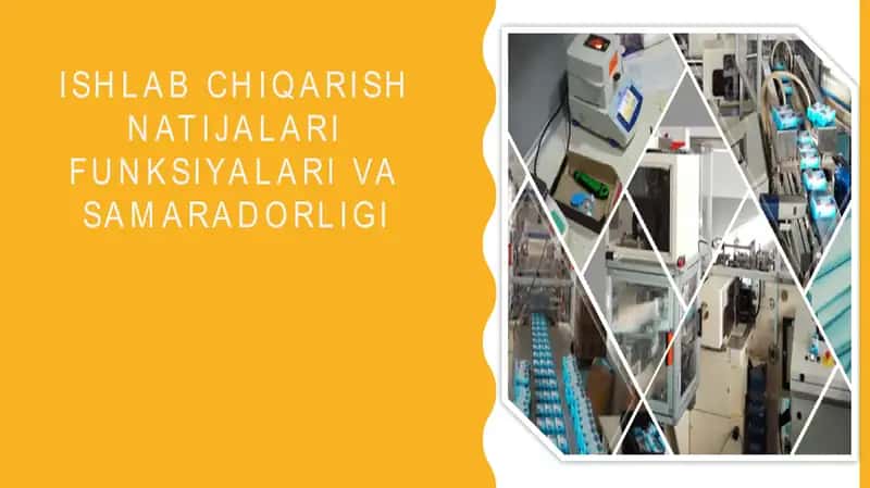 Ishlab chiqarish natijalari funksiyalari va samaradorligi