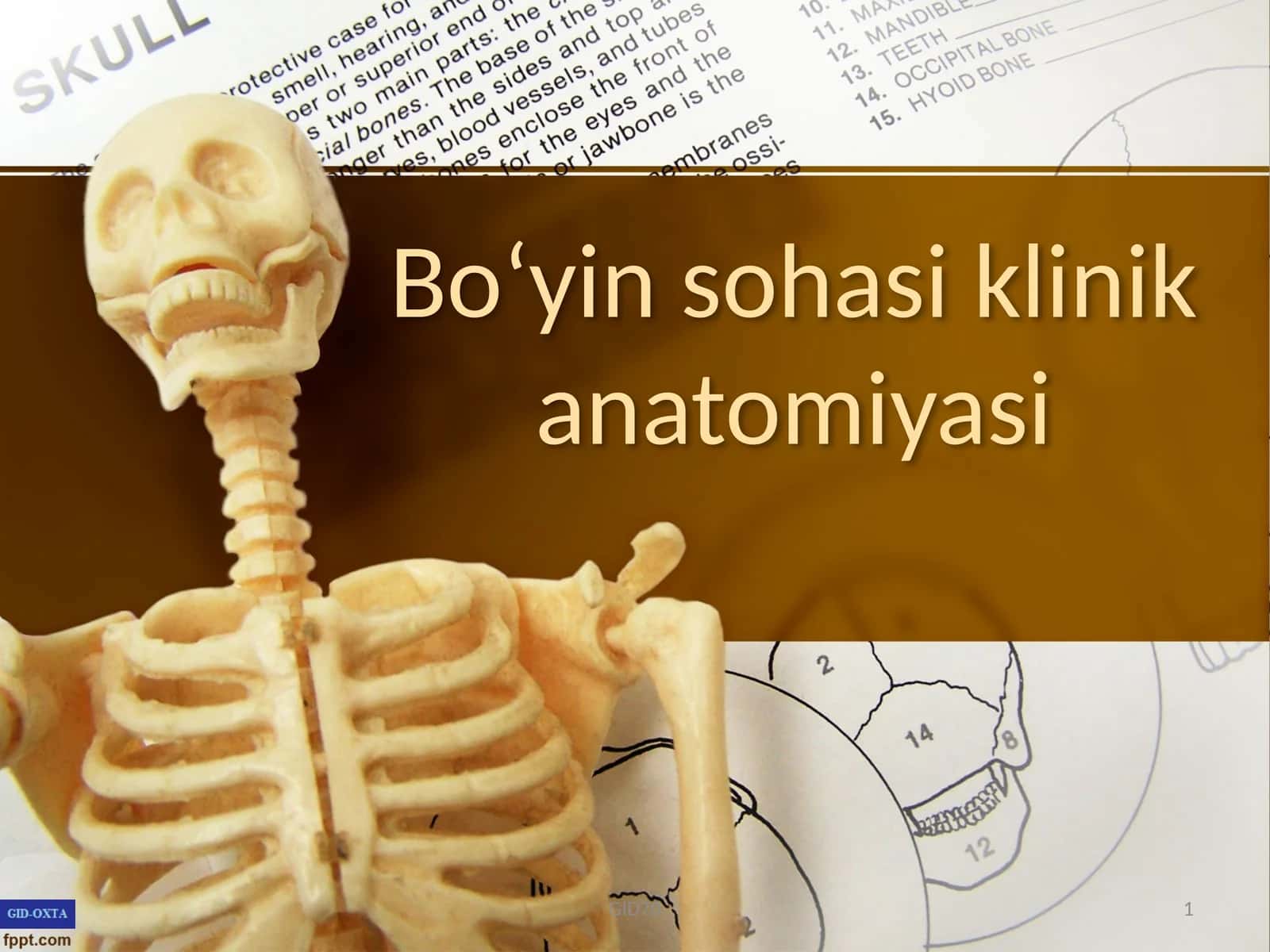 Boʻyin sohasi klinik anatomiyasi