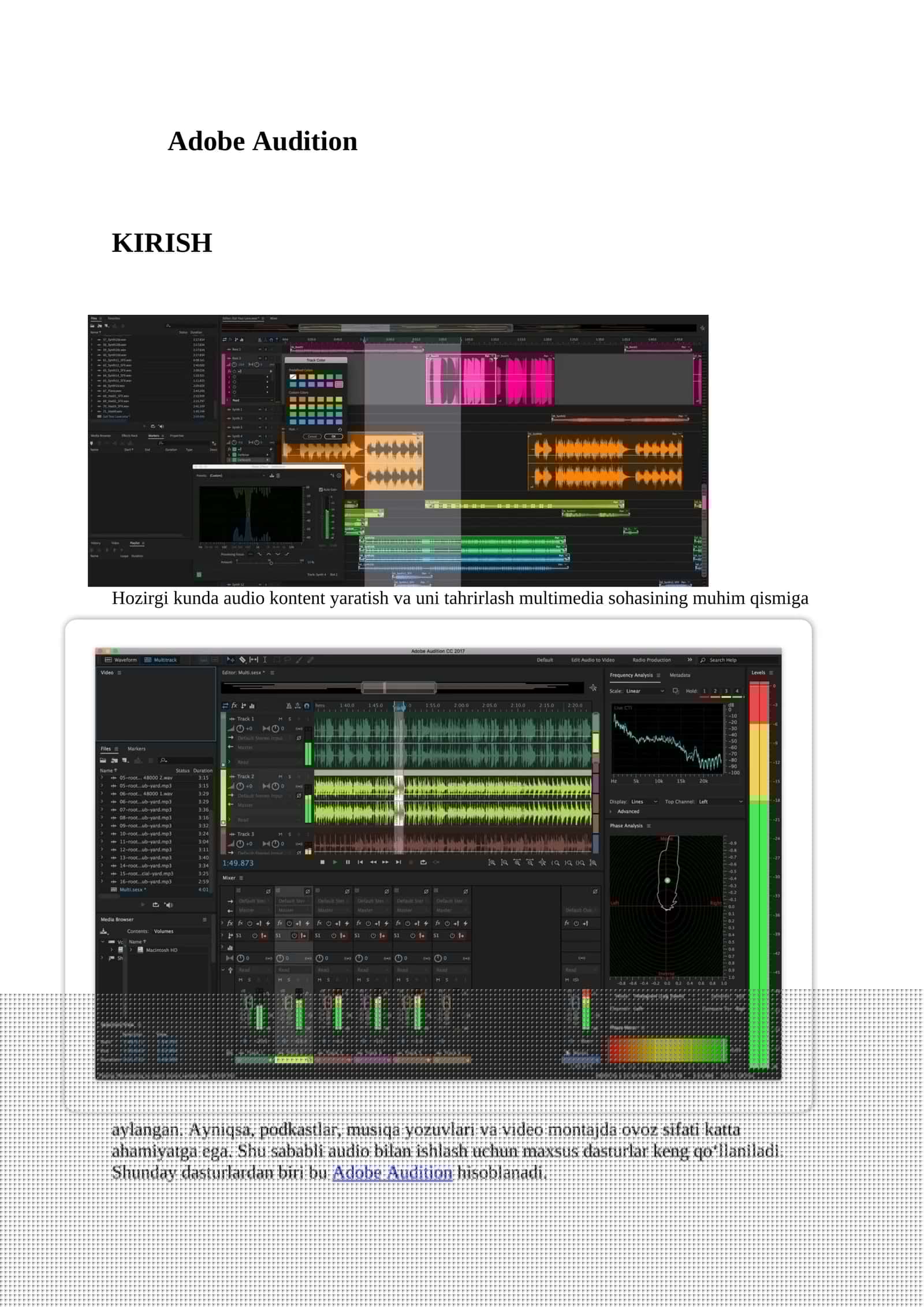 ADOBE AUDITION HAQIDA