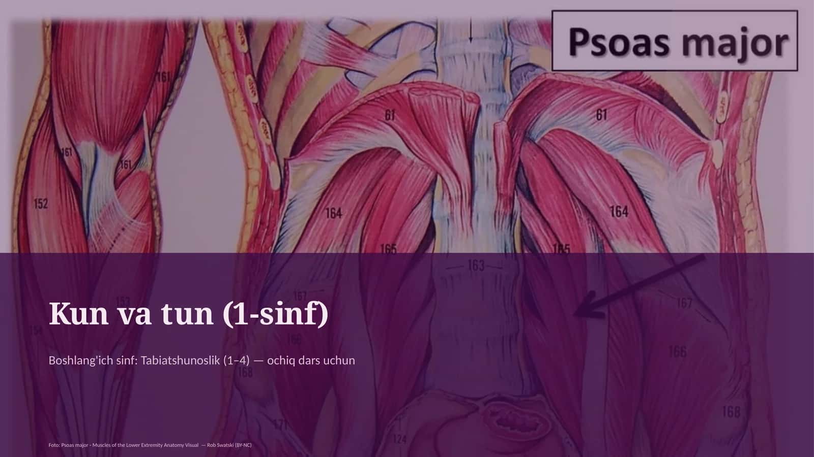 Kun va tun (1-sinf)