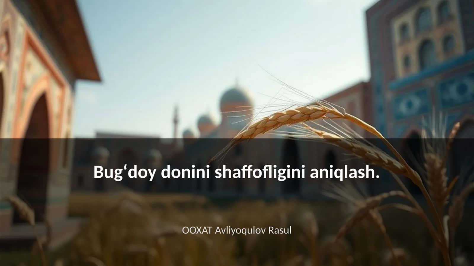 Bugʻdoy doni shaffofligining nazariy asoslari