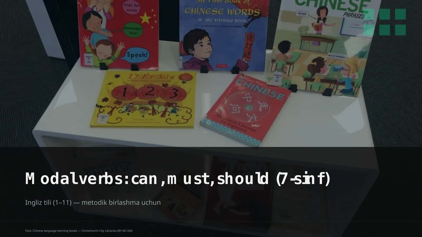 Modal verbs: can, must, should (7-sinf)