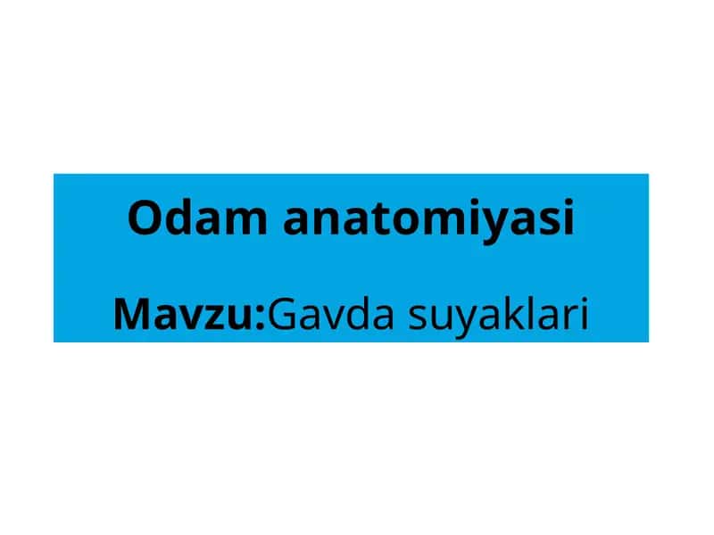 Odam anatomiyasi