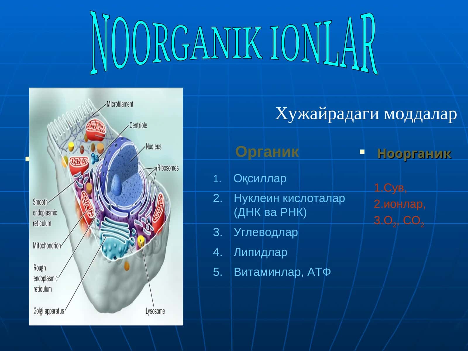 Ноорганик