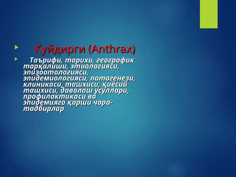 Куйдирги(Anthrax) KUYDIRGI