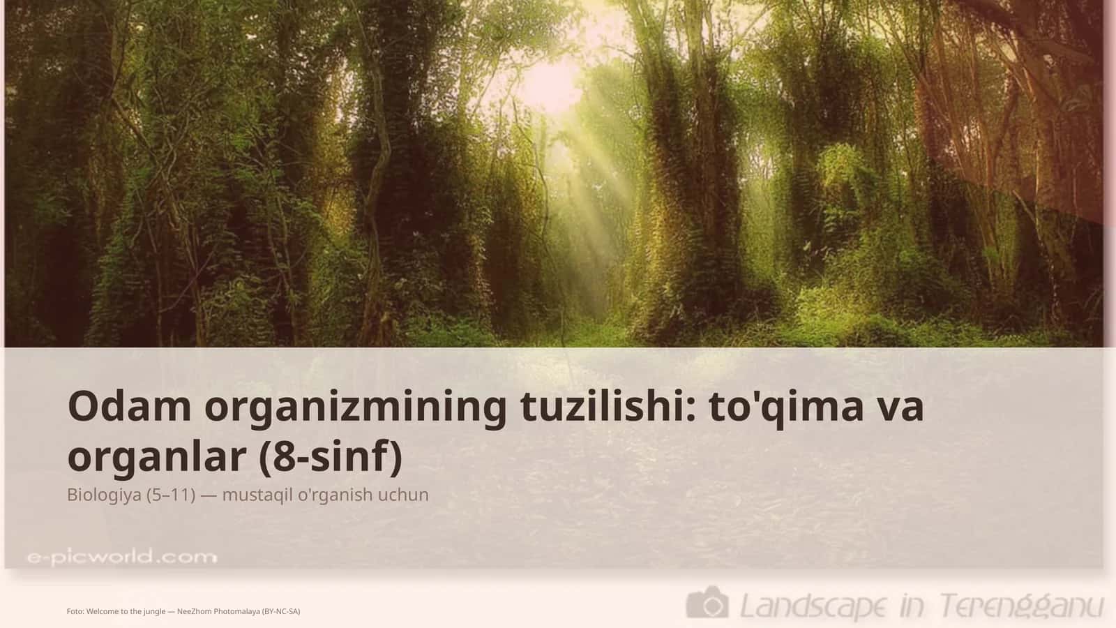 Odam organizmining tuzilishi: to'qima va organlar (8-sinf)