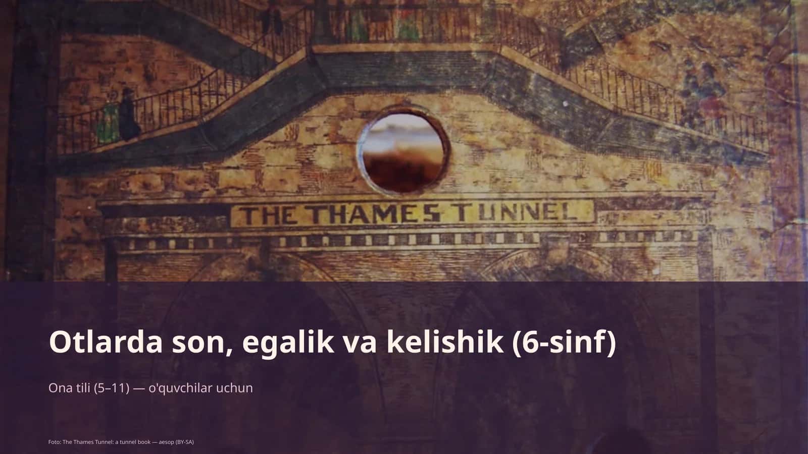 Otlarda son, egalik va kelishik (6-sinf)